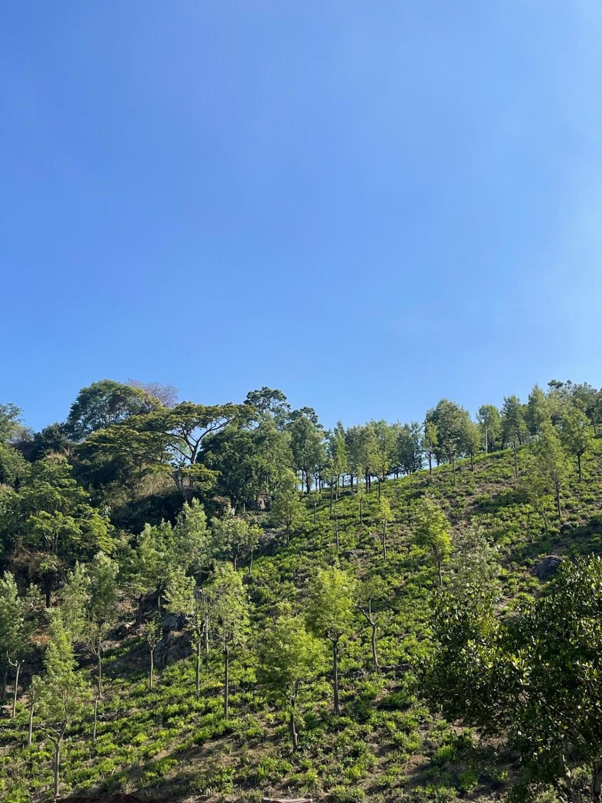 Casa De Kcn Villa Kotagiri Dış mekan fotoğraf